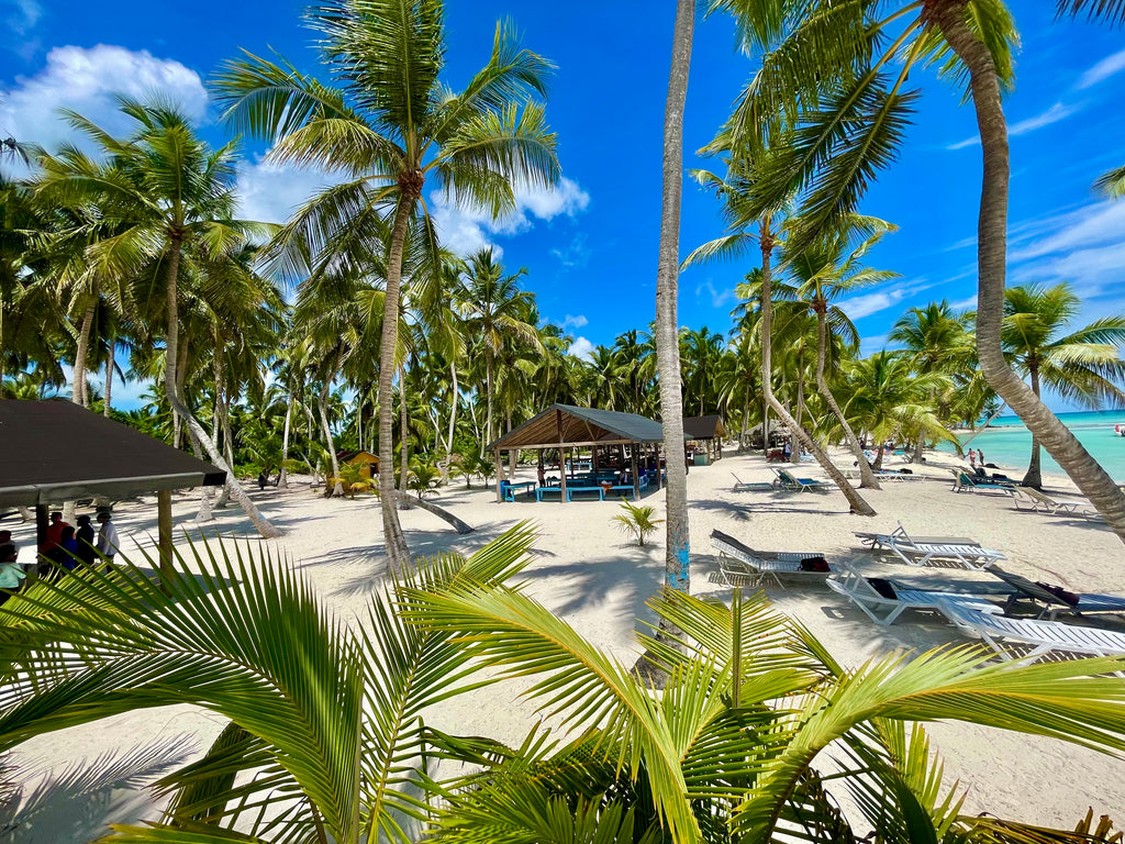 SAONA ISLAND TOUR PUNTA CANA
