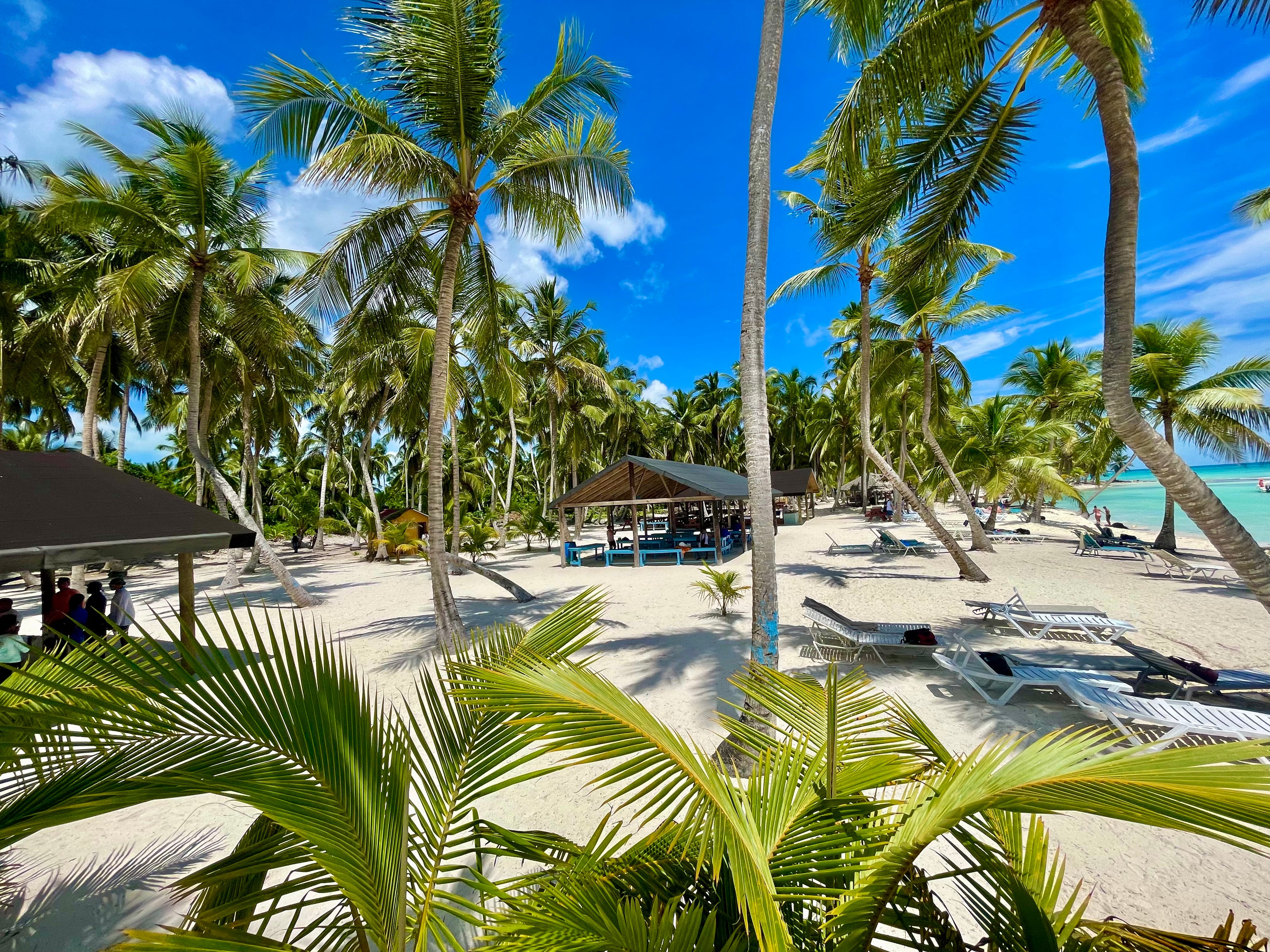 SAONA ISLAND TOUR PUNTA CANA