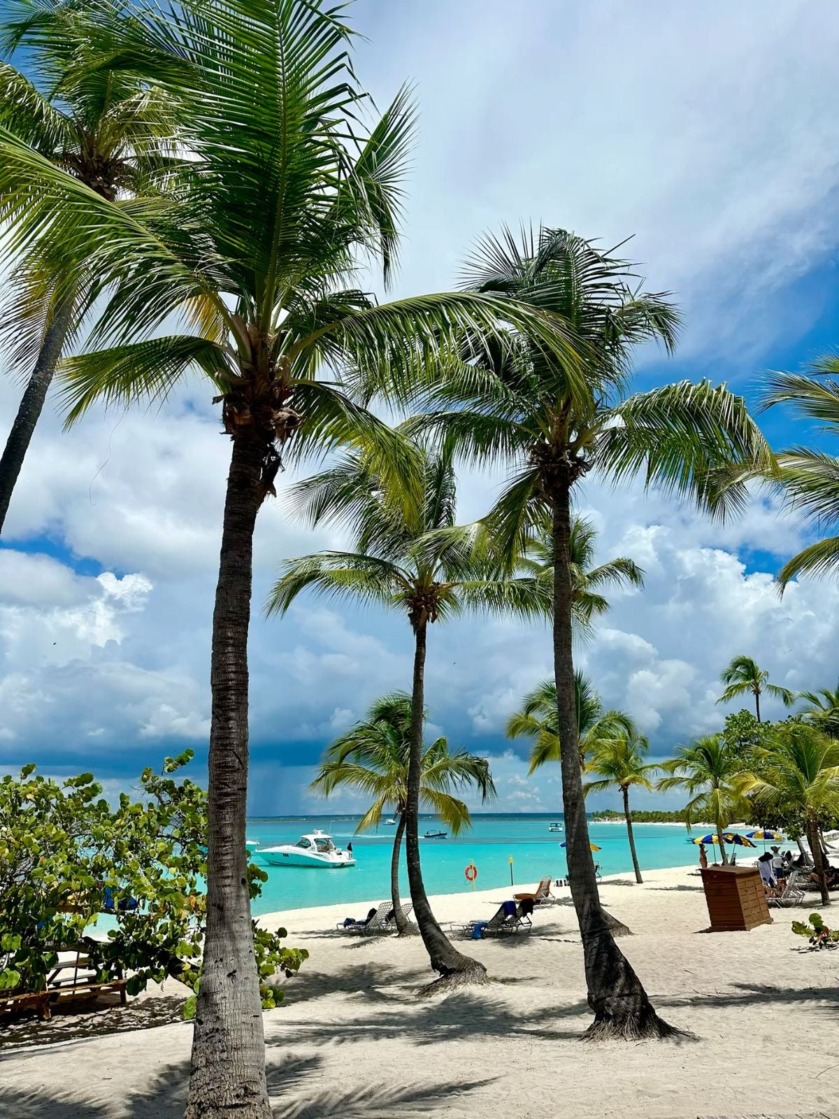 SAONA ISLAND TOUR PUNTA CANA