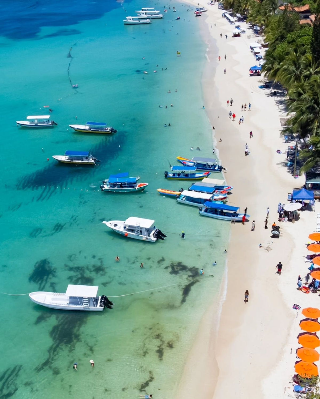 SAONA ISLAND TOUR PUNTA CANA