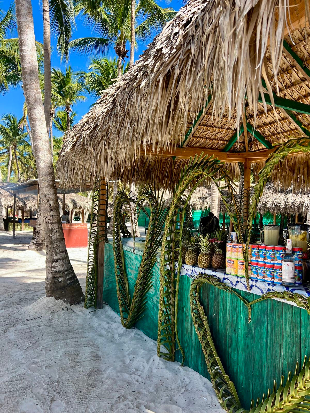 SAONA ISLAND TOUR PUNTA CANA