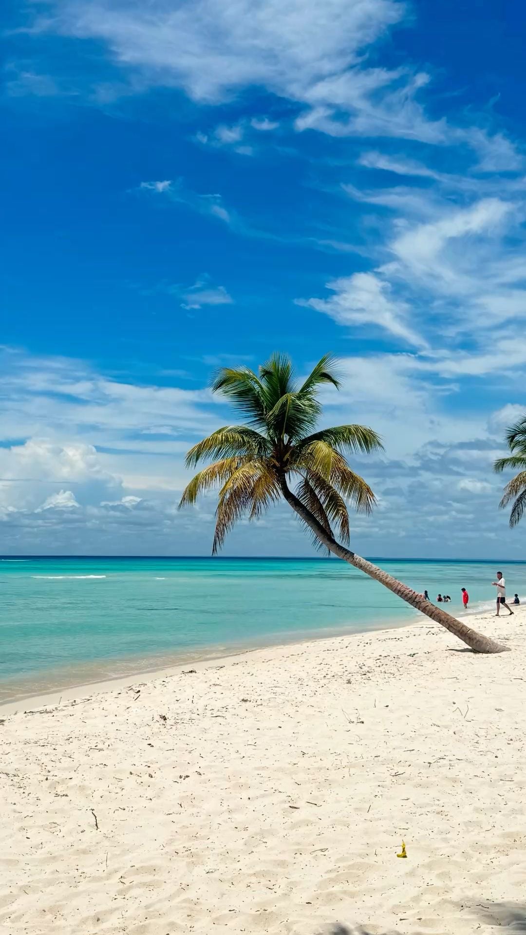 SAONA ISLAND TOUR PUNTA CANA