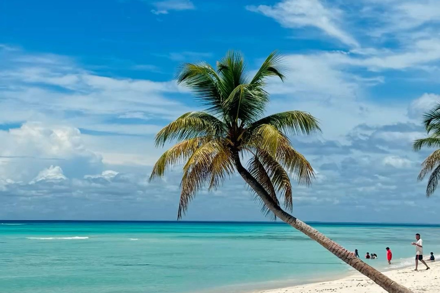 SAONA ISLAND TOUR PUNTA CANA