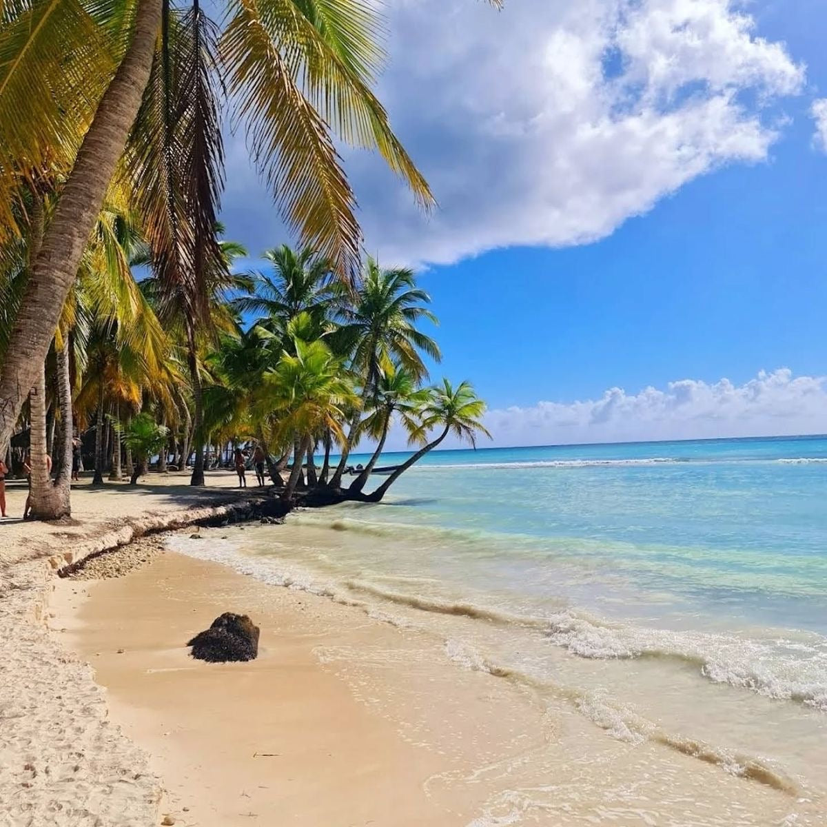 SAONA ISLAND TOUR PUNTA CANA