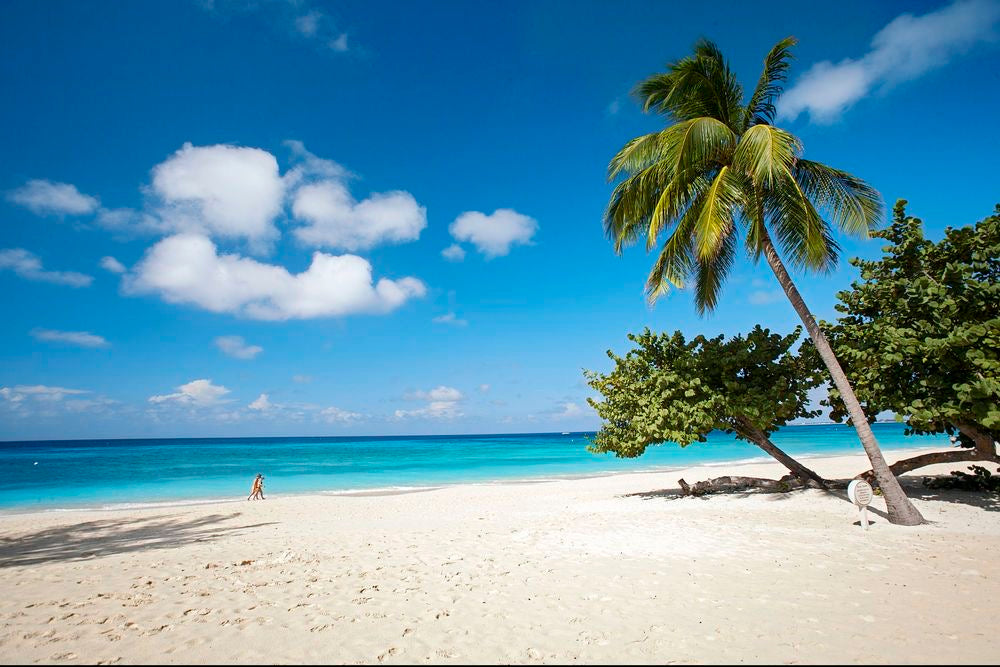 SAONA ISLAND TOUR PUNTA CANA