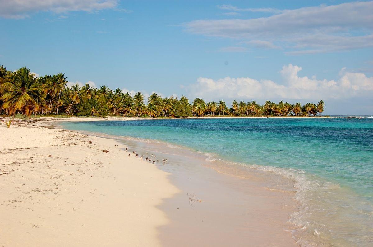 SAONA ISLAND TOUR PUNTA CANA