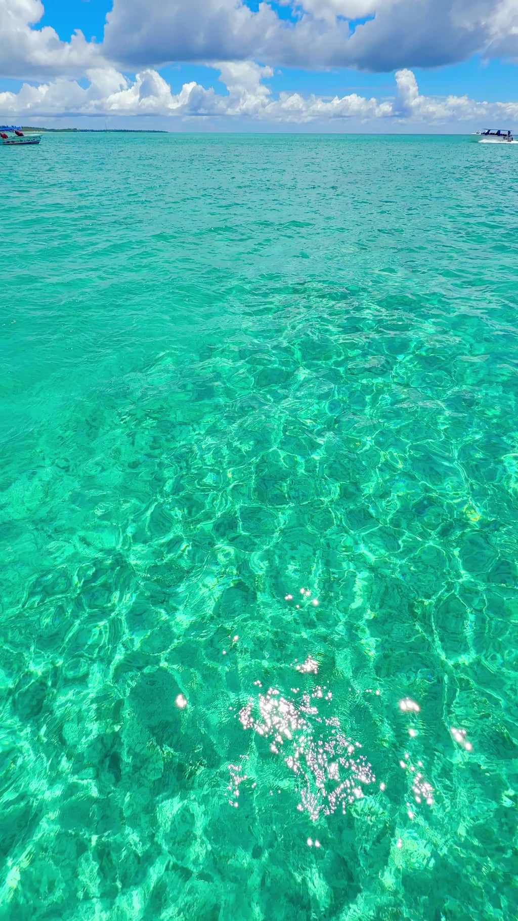 SAONA ISLAND TOUR PUNTA CANA